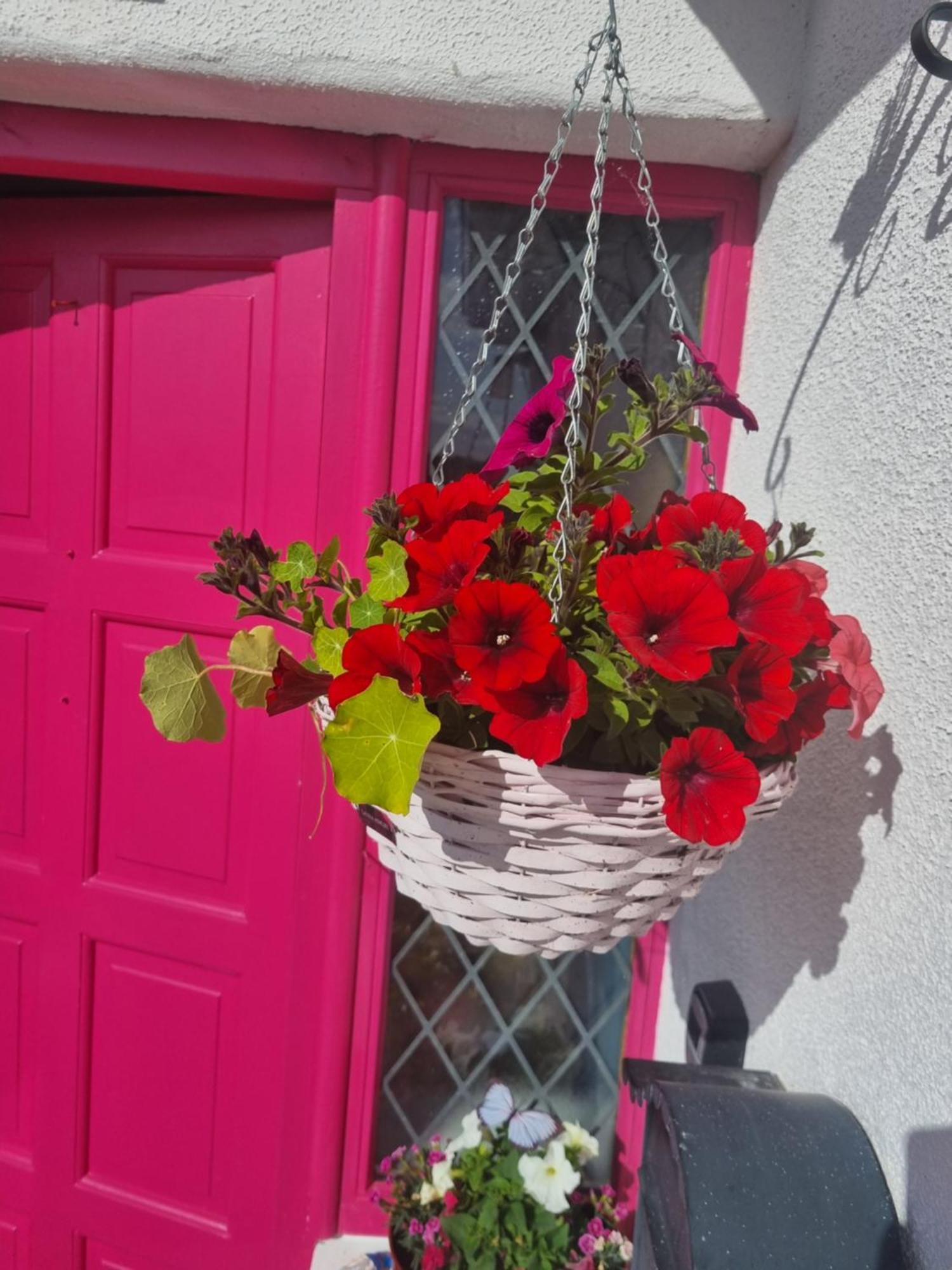 The Pink Door Apartamento Killala Exterior foto